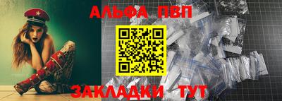 гашик Анжеро-Судженск