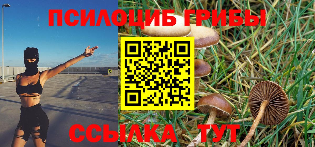 Галлюциногенные грибы мухоморы Алексин